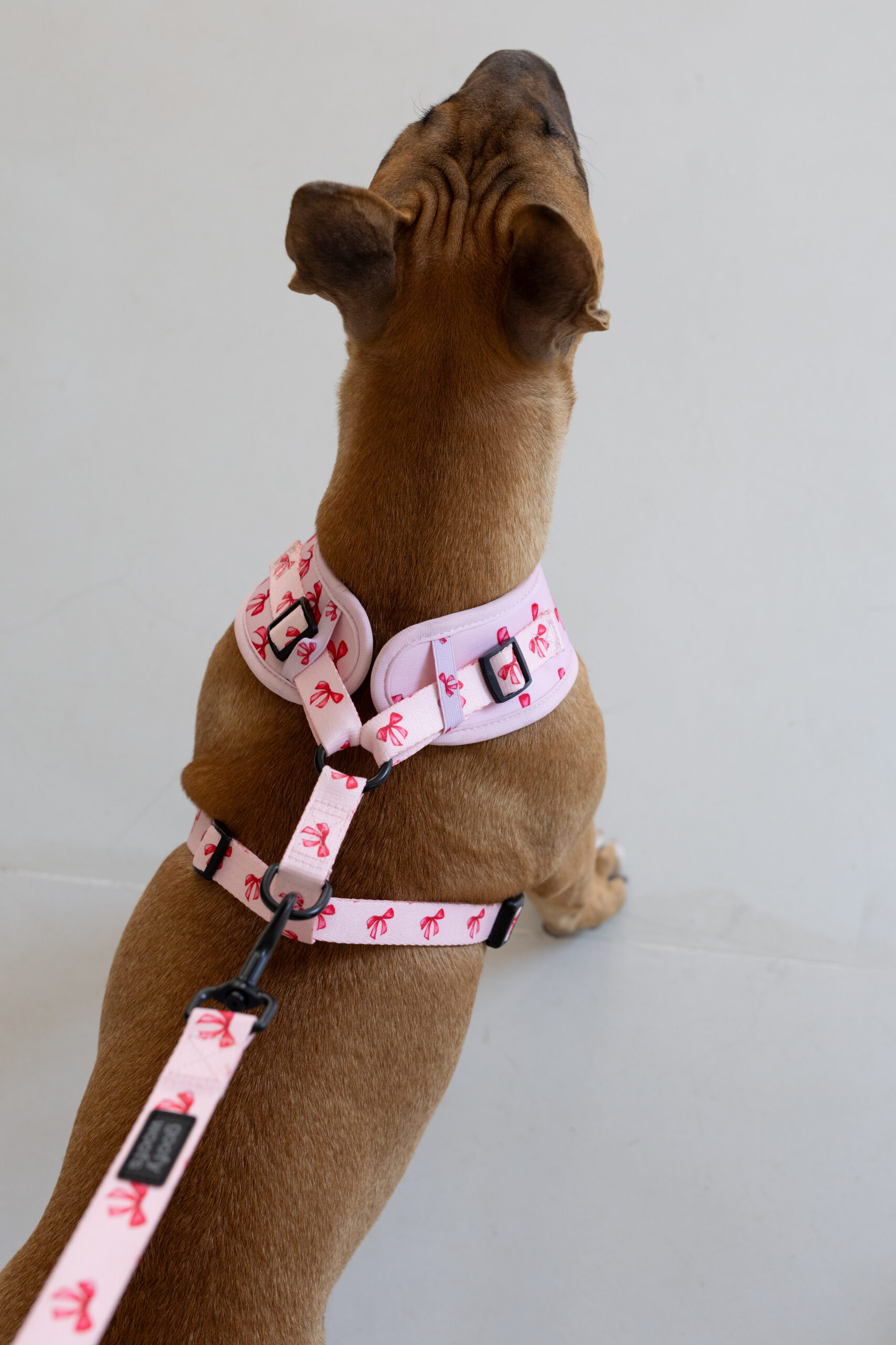 Bow Belle harness - Image 3