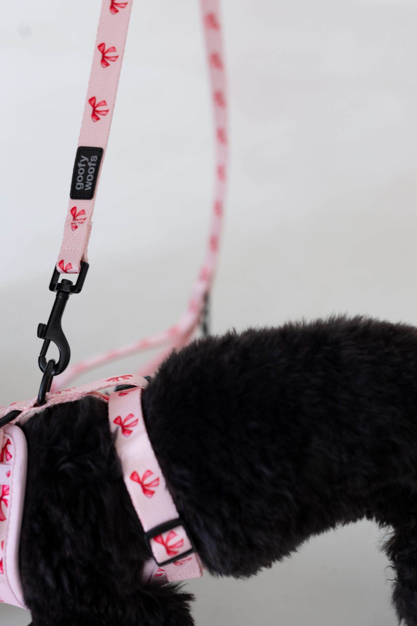 Bow Belle Leash - Image 4